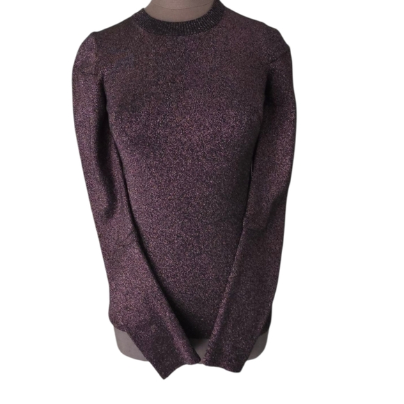 Alexander Wang Metallic Plum Shimmer Knit Sweater Size Small NWOT - Picture 14 of 16